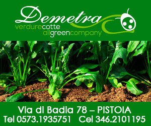 Demetra Verdure Cotte - Produzione Verdure Cotte per Grande, Media e Piccola Distribuzione