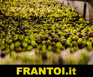 Frantoi.it - Frantoi - Frangitura Olive - Produzione Olio di Oliva - EVO Olio Extra-Vergine di Oliva