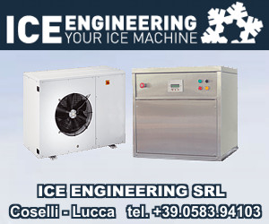 ICE ENGINEERING - Macchine Produzione Ghiaccio a Scaglie